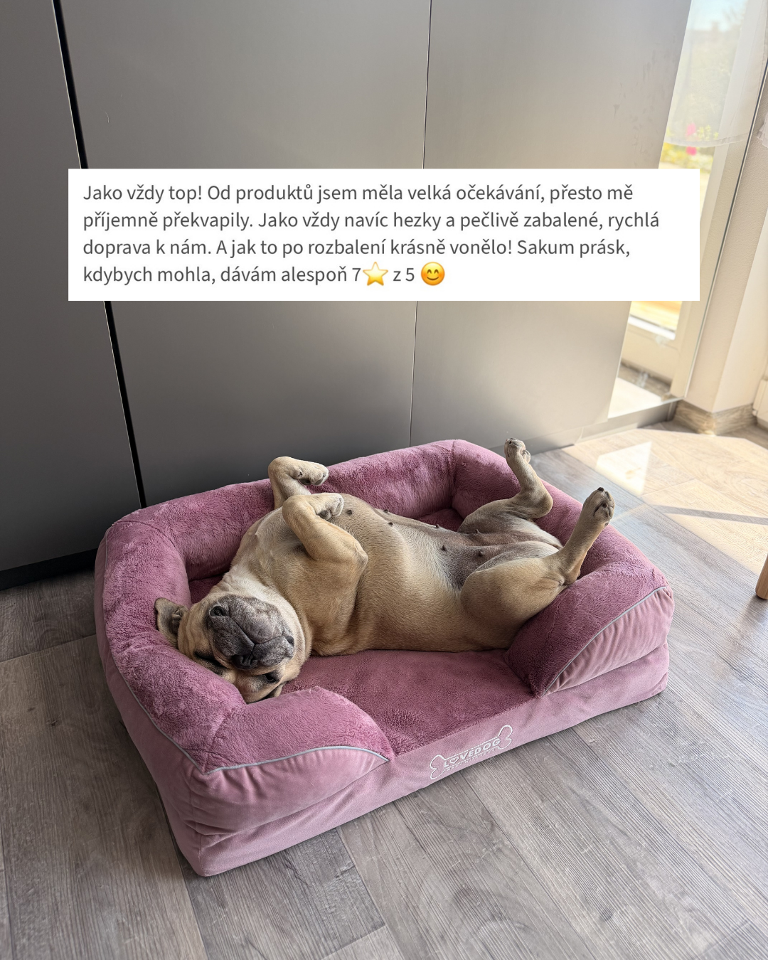 Kopie návrhu Chlupaté pelíšky  - 5